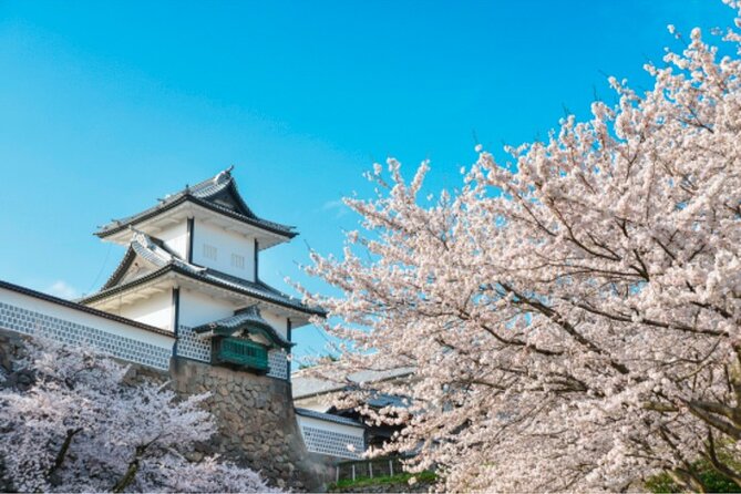 Private Half-Day Kanazawa Walking Tour and Historical Photo Spot - Health and Accessibility Information