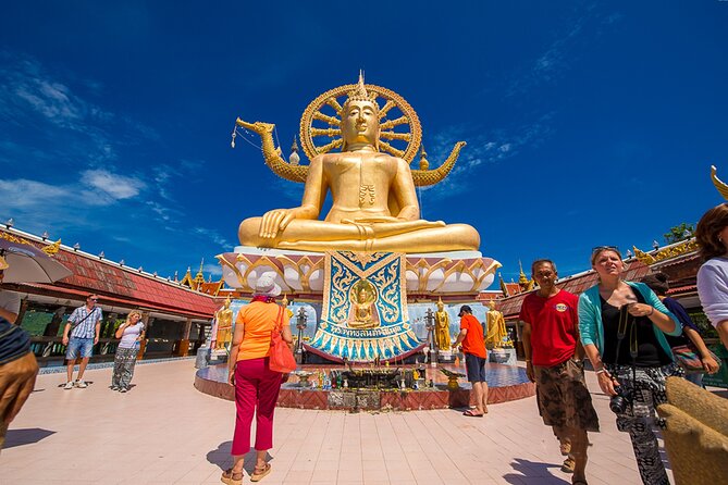 Private Half-Day Koh Samui Tour - Tour Highlights