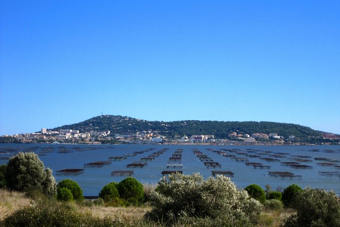 Private Half-Day Languedoc Wine and Oyster Tour From Sète - Pricing and Cancellation Policy