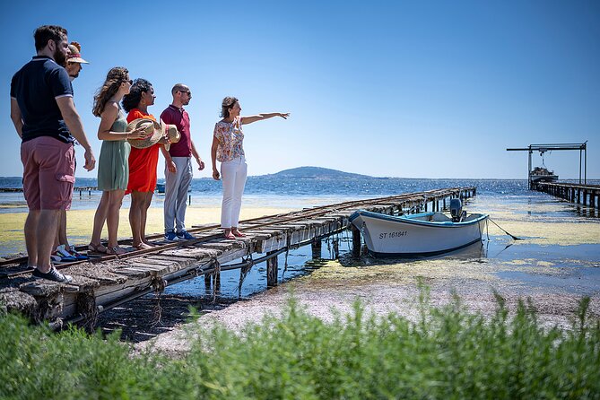 Private Half-Day Languedoc Wine and Oyster Tour From Sète - Local Wine and Oyster Experience