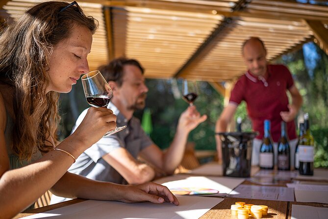 Private Half-Day Languedoc Wine Tour From Sète - About Your Stay