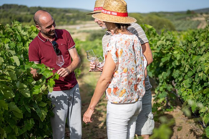 Private Half-Day Languedoc Wine Tour From Sète - Winery Visits and Grape Varieties