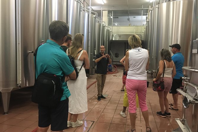 Private Half-Day Languedoc Wine Tour From Sète - Tasting Celebrated Local Wines