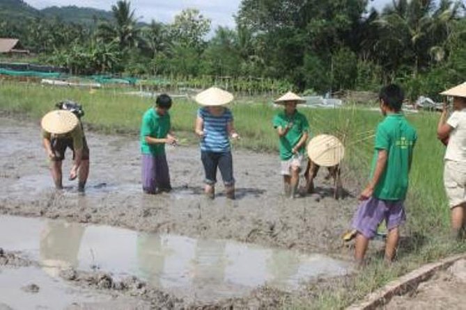 Private Half Day Luang Prabang Rural Farm Experience With Lunch - Meeting and Pickup
