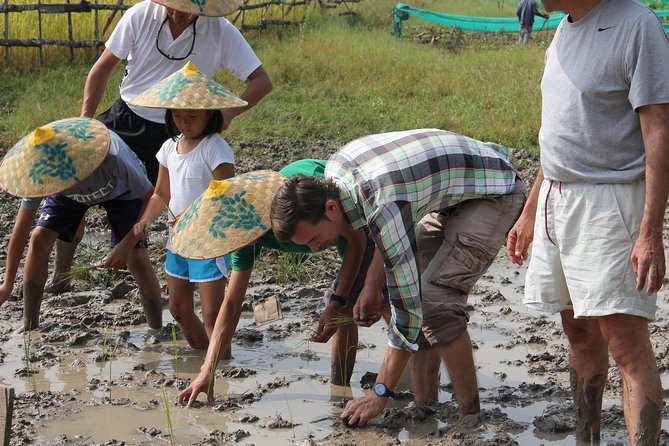 Private Half Day Luang Prabang Rural Farm Experience With Lunch - Participant Guidelines