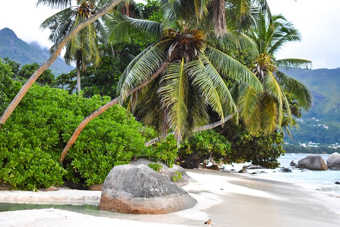 Private Half Day Mahe Island Tour (1-5 Persons) - Positive Reviews
