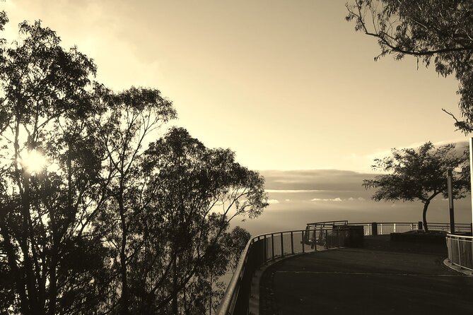 Private Half-Day Morning 4x4 Tour From Funchal - Pricing and Cancellation