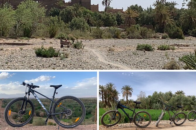 Private Half-Day Mountain Biking Excursion to Discover the Palm Grove of Skoura - Accessibility and Participation