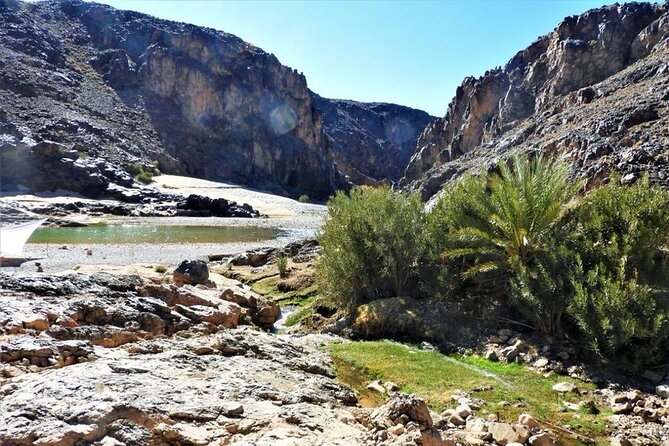 Private Half-Day Mountain Biking Excursion to Discover the Palm Grove of Skoura - Traveler Experiences and Reviews
