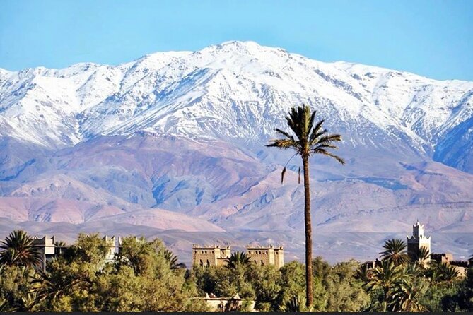 Private Half-Day Mountain Biking Excursion to Discover the Palm Grove of Skoura - Exploring the Skoura Palm Grove