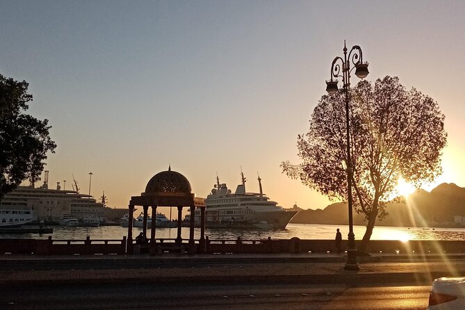 Private Half-Day Muscat City At Night Tour - Traveler Reviews