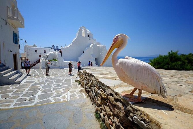 Private Half-Day Mykonos Insider Tour With Pick up - Discover Ano Mera Village