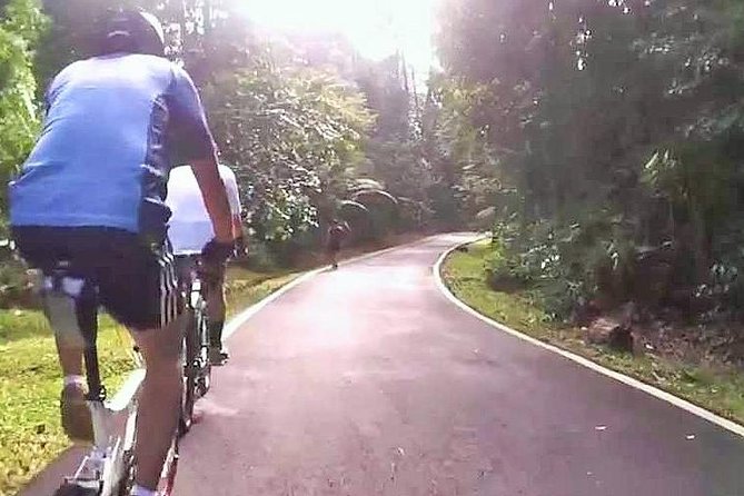 Private Half-Day National Botanic Garden Cycling Tour From Kuala Lumpur - Good To Know
