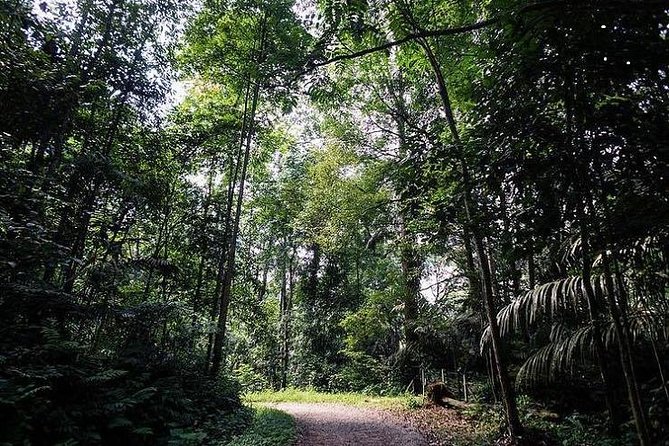 Private Half-Day National Botanic Garden Cycling Tour From Kuala Lumpur - Accessibility and Participation
