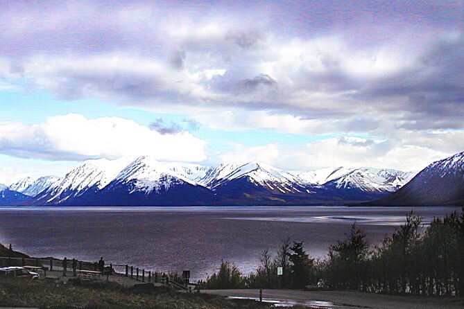 Private Half-Day Nature Tour From Anchorage - Personalized and Kid-Friendly Experience