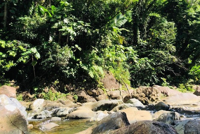 Private Half-Day Puerto Rico Island of Enchantment Beach and Jungle Adventure - Customized Itinerary for Travelers