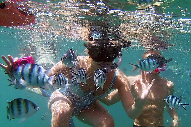 Private Half-Day Red Dragon Yacht for Snorkeling Koh Tan & Visit Pig Island - Customer Reviews and Feedback