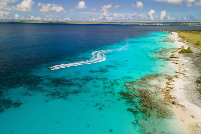 Private Half Day REVOLVE Boat Tour in Bonaire - Booking and Cancellation Policy