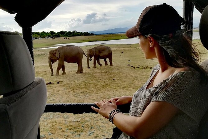 Private Half Day Safari in Udawalawe National Park - Guest Reviews and Feedback