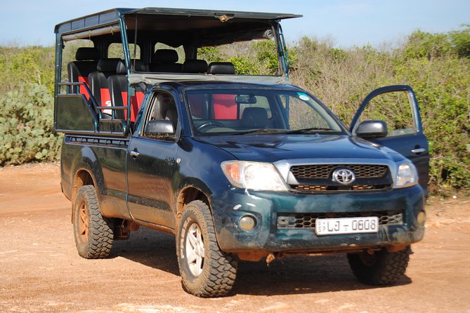 Private Half Day Safari Tour to Yala NP From Tangalle and Drop Back - Good To Know