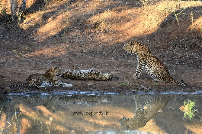 Private Half Day Safari Tour to Yala NP From Tangalle and Drop Back - Getting to Yala National Park