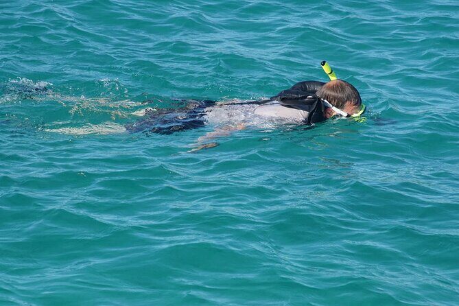 Private Half-Day Sailing and Snorkeling Tour - FAQ