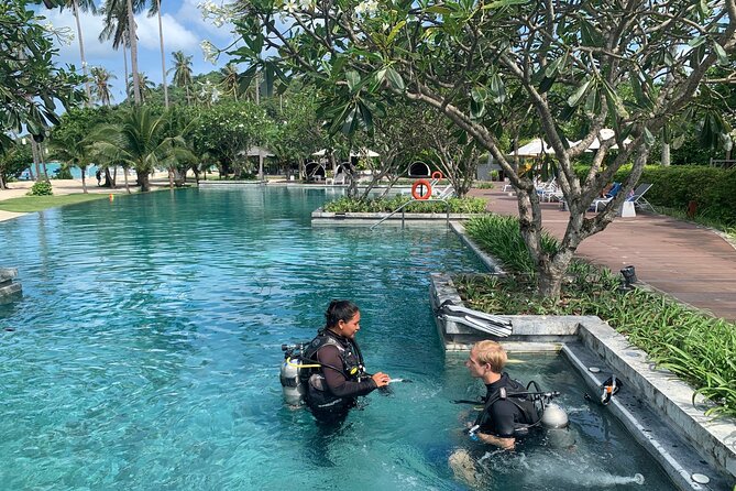 Private Half-Day Scuba Diving With Expert (1dive) - Meeting Point and Schedule