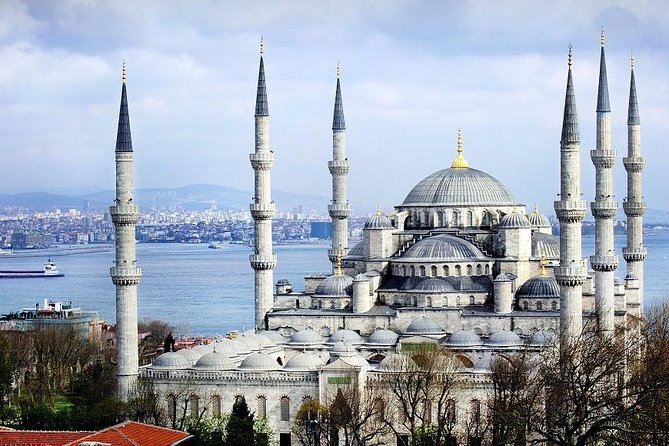 Private Half Day Shore Excursion: Hagia Sophia, Hippodrome, Blue Mosque and Grand Bazaar From Istanbul - Discovering the Grand Bazaar