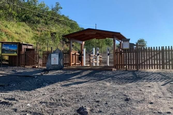 Private Half-Day Sightseeing Tour of Vesuvius National Park - Unique Summit Experience