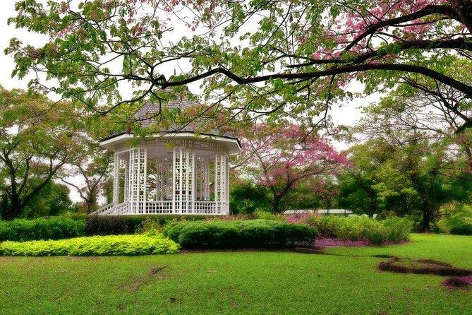Private Half Day Singapore City Tour With Botanical Orchid Garden - Key Points