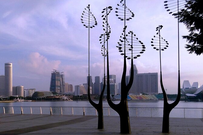 Private Half Day Singapore City Tour With Botanical Orchid Garden - Highlights