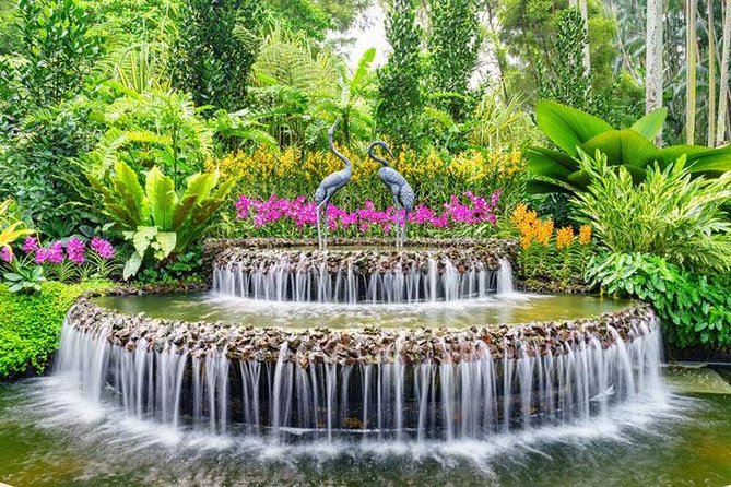 Private Half Day Singapore City Tour With Botanical Orchid Garden - Guest Reviews