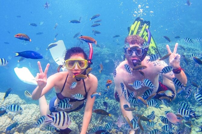 Private Half-Day Speed Boat and Snorkeling Tour in Punta Cana - Exploring the Aquatic Wonders