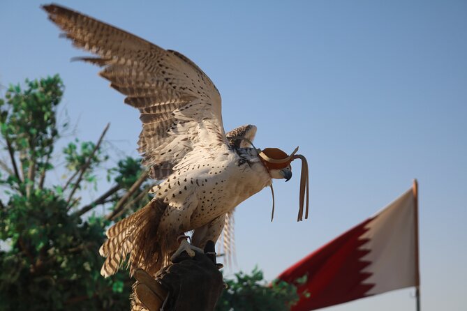Private Half Day Sunrise Desert Tour in Doha - Tour Overview