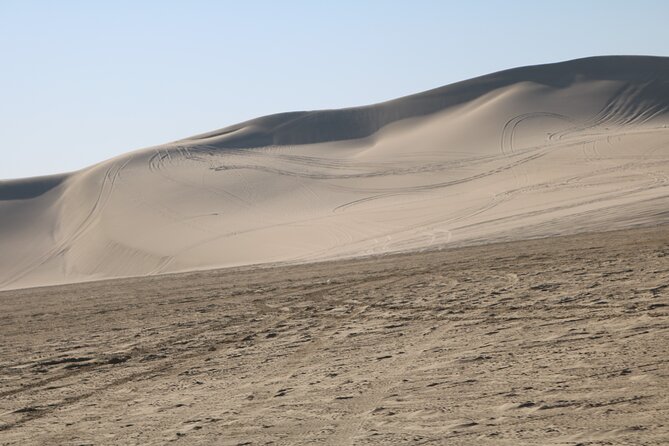 Private Half Day Sunrise Desert Tour in Doha - Schedule