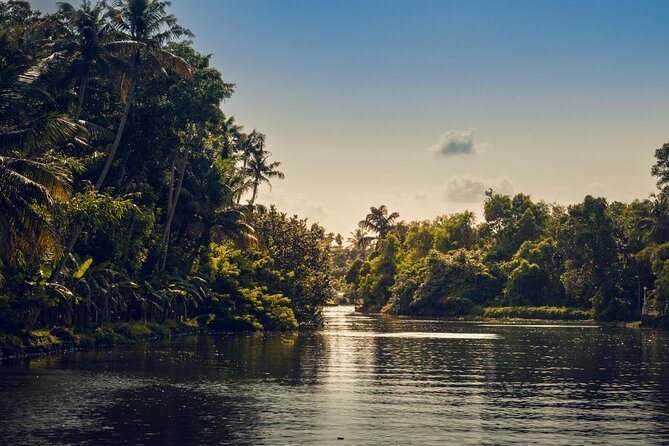 Private Half Day Sunset Cruise With Village Life and Local Food - Cruise Details