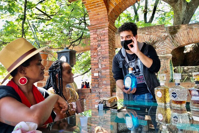 Private Half-Day Tequila Tour - Exploring Tequila Town and Agave Fields