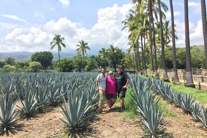 Private Half-Day Tequila Tour - Personalized Private Guide Experience