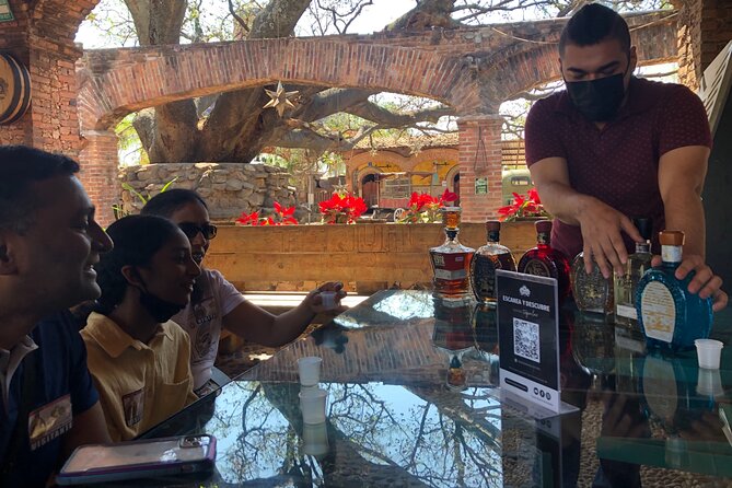 Private Half-Day Tequila Tour - Positive Reviews and Ratings