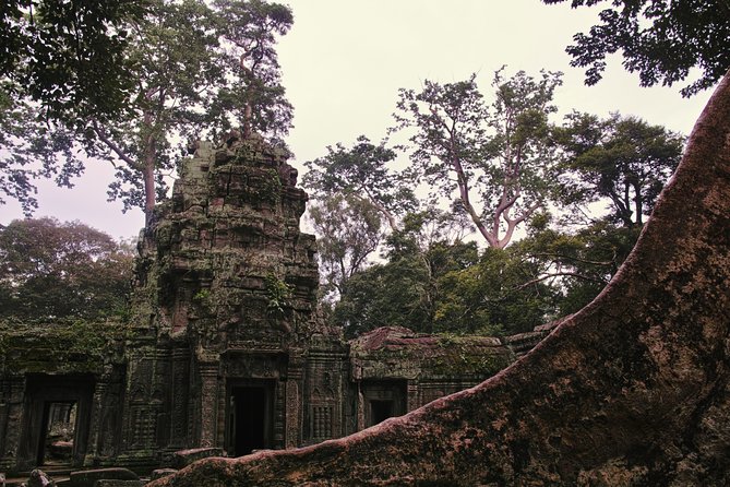 Private Half Day To Jungle Temple-Taprohm & Banteay Kdei Temples - Exploring Jungle Temple