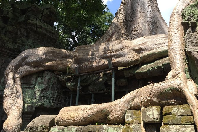 Private Half Day To Jungle Temple-Taprohm & Banteay Kdei Temples - Discovering Banteay Kdei