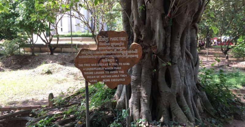 Private Half Day to Killing Field and S21 Genocidal Museum - Itinerary Details