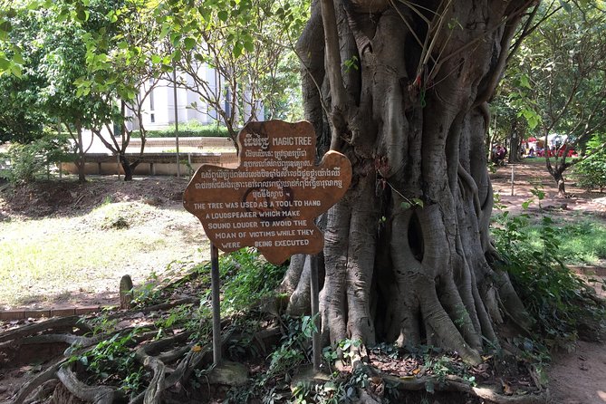 Private Half Day To Killing Field & S21 Genocidal Museum in Phnom Penh - S21 Genocide Museum
