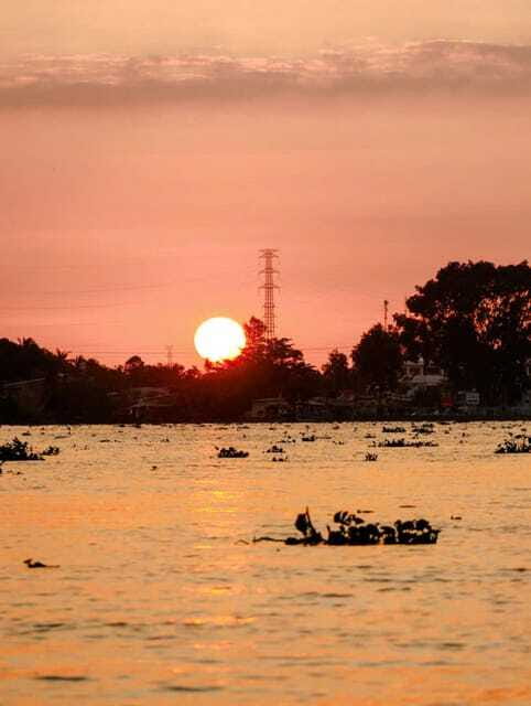 Private Half Day Tour - Cái Răng Floating Market - Traveler Experiences