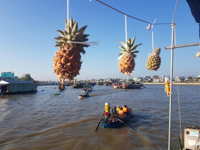 Private Half Day Tour - Cai Rang Floating Market - Preparation and Recommendations