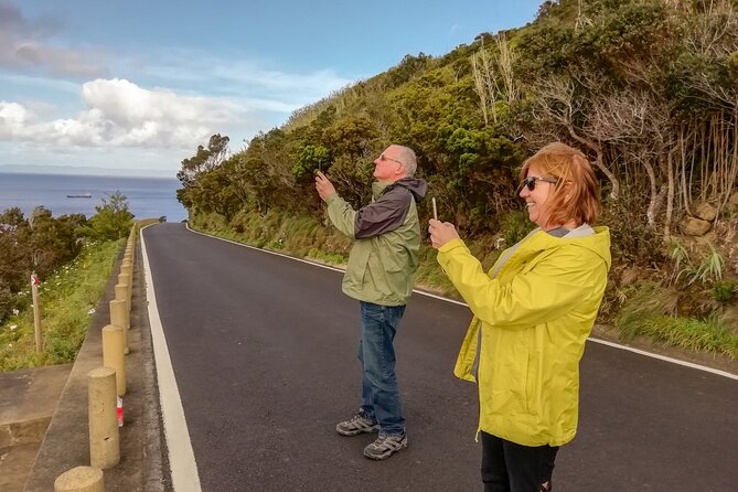 Private Half Day Tour - Faial Island (Up to 8 People) - Accessibility
