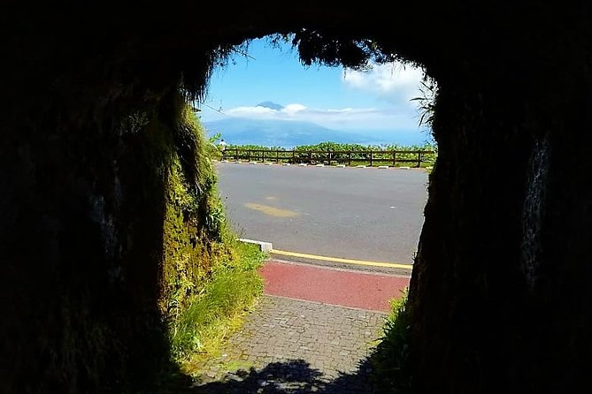 Private Half Day Tour - Faial Island (Up to 8 People) - Highlights of the Tour