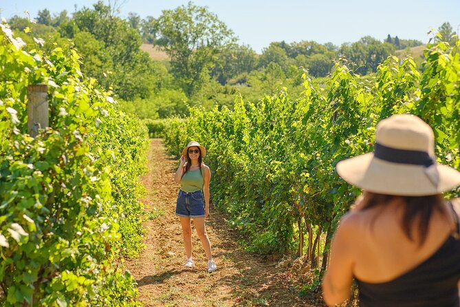 Private Half-Day Tour From Florence to Chianti Wine Region - Tour Inclusions