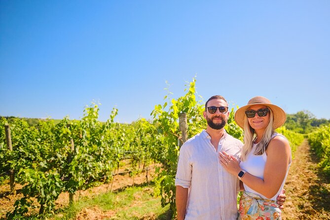 Private Half-Day Tour From Florence to Chianti Wine Region - Itinerary of the Tour