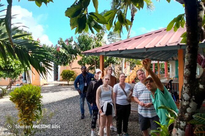 Private Half Day Tour in Dominican Republic with Local Guide - Who Will Love This Tour?